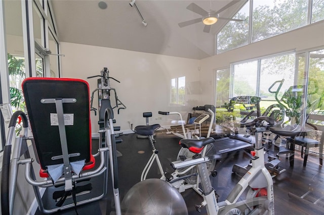 4177 N Orange Blossom Trl Unit 210, Orlando, FL 32804 - workout area with lofted ceiling, ceiling fan, healthy amount of natural light, and wood finished floors