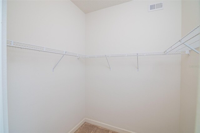 4177 N Orange Blossom Trl Unit 210, Orlando, FL 32804 - spacious closet featuring light carpet
