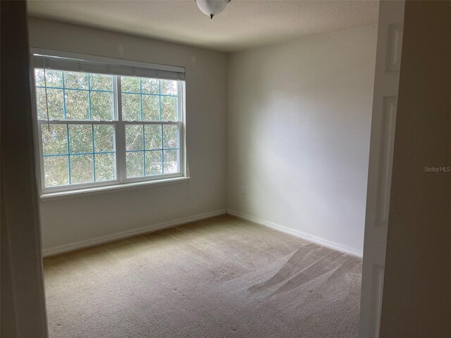 carpeted empty room featuring a wealth of natural light and a textured ceiling