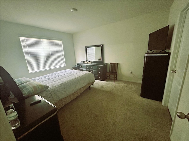 bedroom with carpet floors