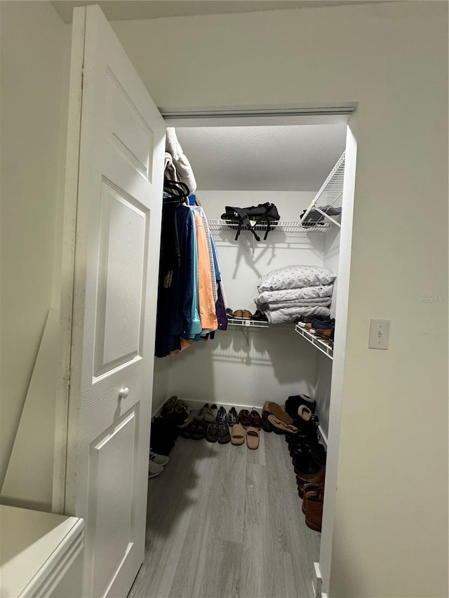 walk in closet featuring wood-type flooring