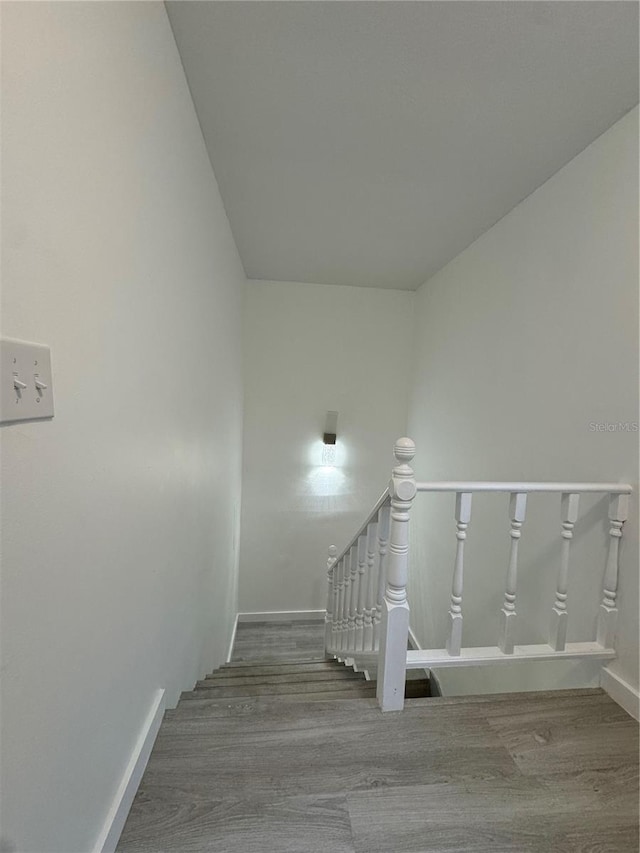 staircase with hardwood / wood-style flooring