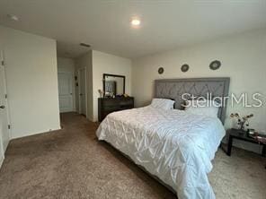 bedroom with carpet floors