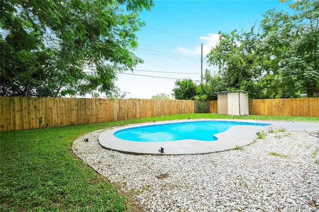 view of pool with a lawn and a shed