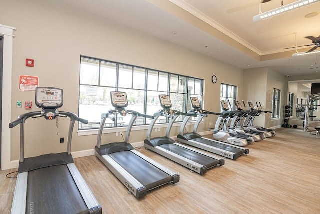 workout area featuring a tray ceiling, a wealth of natural light, hardwood / wood-style floors, and ceiling fan