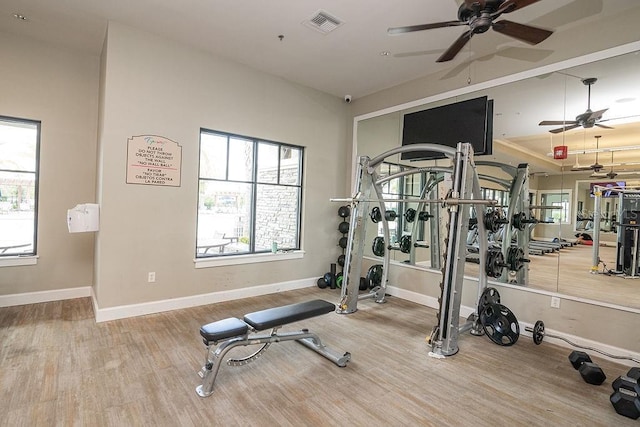 exercise room featuring ceiling fan, a healthy amount of sunlight, and wood-type flooring