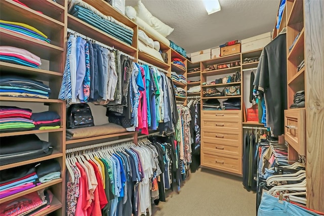 spacious closet with carpet floors