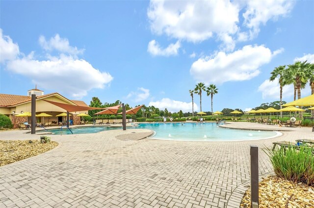 view of pool featuring a patio area and pool water feature