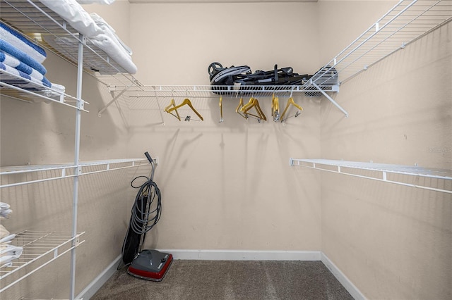 1301 Tuscan Ter Unit 9403, Davenport, FL 33896 - walk in closet with carpet floors