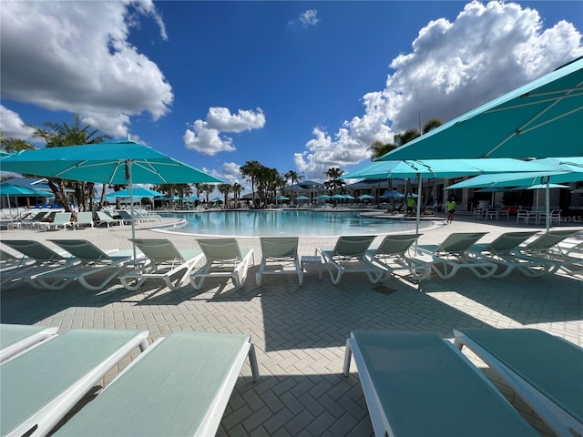 view of pool featuring a patio area