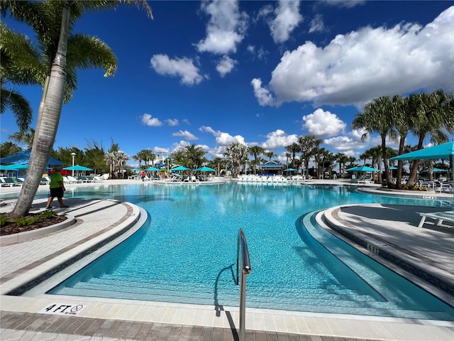 view of swimming pool