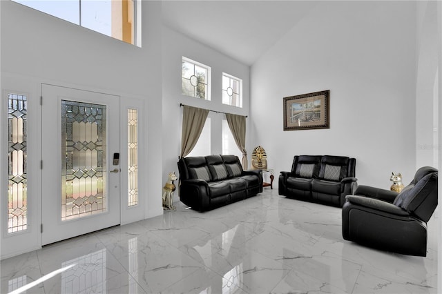 living room featuring high vaulted ceiling