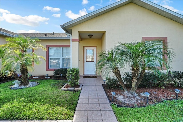 view of exterior entry featuring stucco siding and a yard