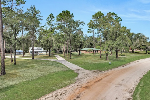 view of community featuring a yard