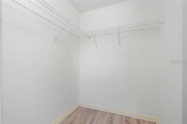 spacious closet featuring light wood-type flooring