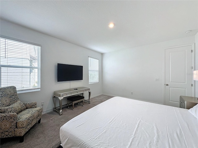 carpeted bedroom with multiple windows