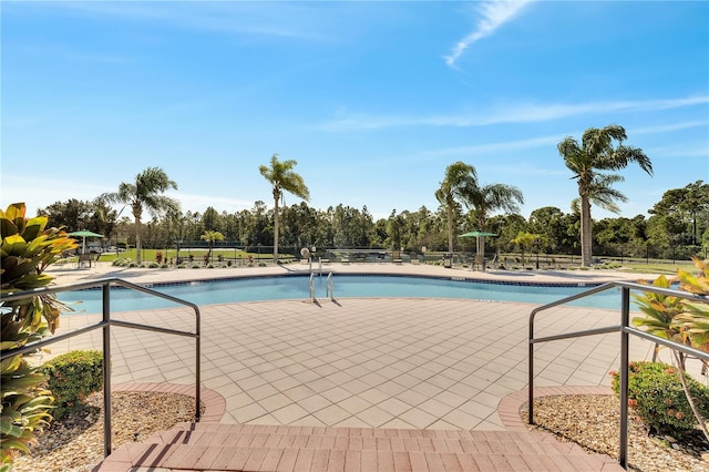 view of swimming pool with a patio