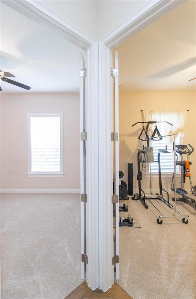 exercise area with ceiling fan and carpet floors