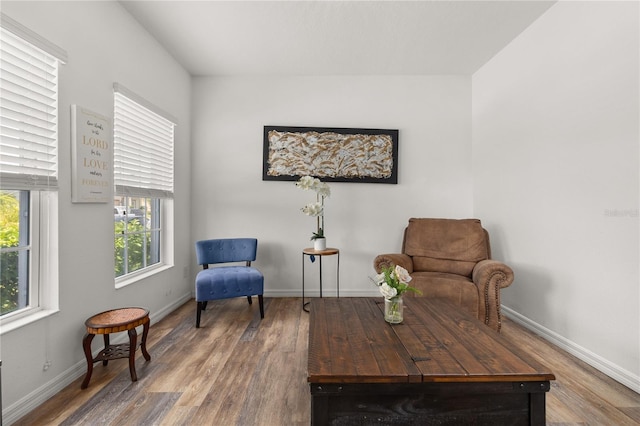 sitting room with wood-type flooring