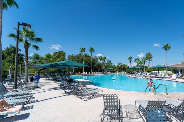 view of pool featuring a patio area