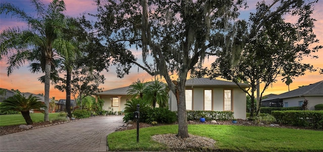 view of front of property featuring a yard