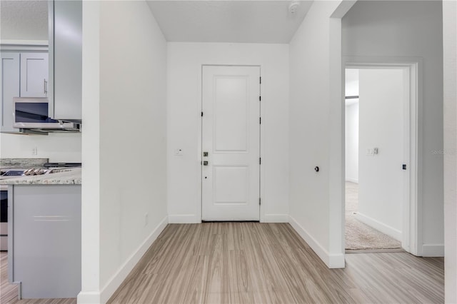 entrance foyer with light wood-type flooring