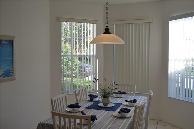 tiled dining room featuring a wealth of natural light