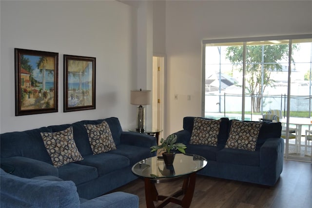 living room with hardwood / wood-style flooring