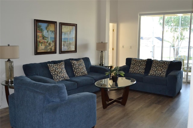 living room with dark hardwood / wood-style floors