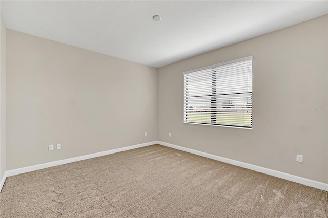 spare room featuring carpet floors