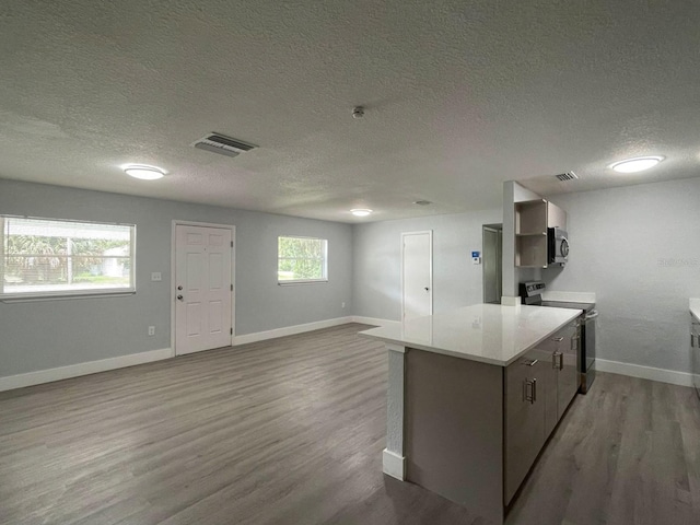 kitchen with wood-type flooring, a textured ceiling, appliances with stainless steel finishes, and plenty of natural light