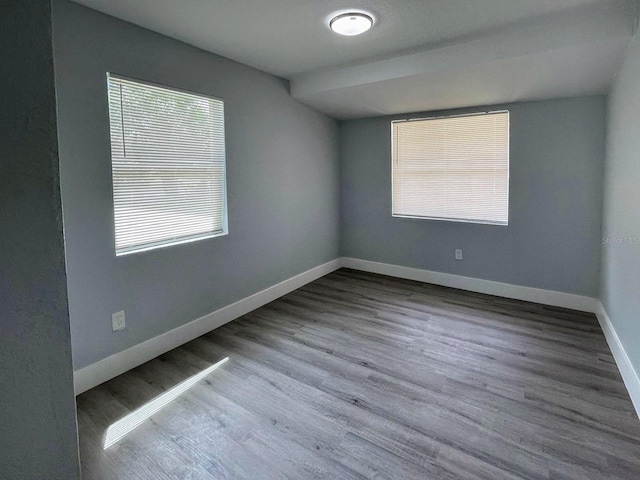 spare room featuring wood-type flooring