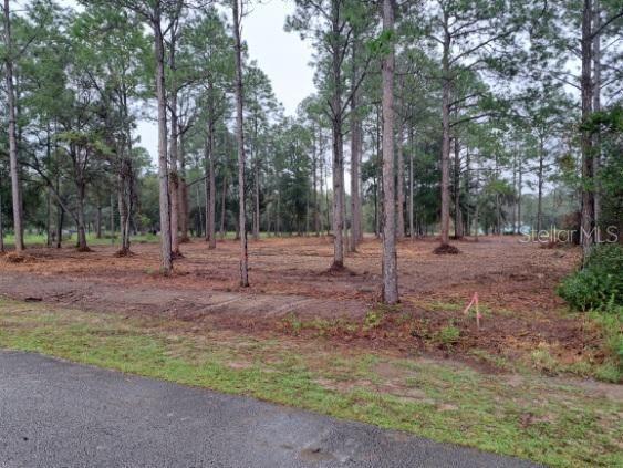 0 SW Iris Ct, Dunnellon FL, 34431 land for sale