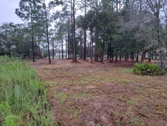 Listing photo 3 for 0 SW Iris Ct, Dunnellon FL 34431