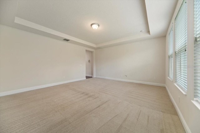 spare room with a raised ceiling and light colored carpet