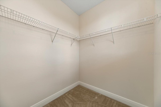 walk in closet featuring carpet floors