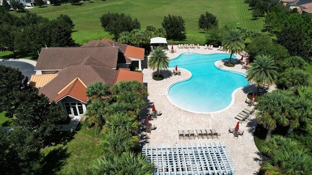 view of pool featuring a patio