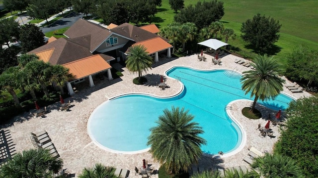 view of pool featuring a patio area