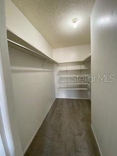 spacious closet with dark colored carpet