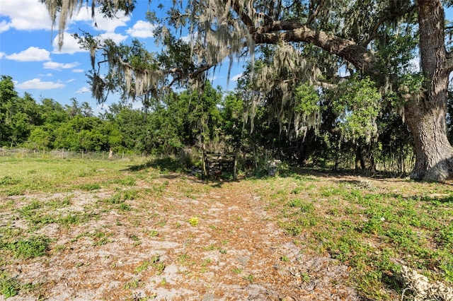 4350 E Hinson Ave, Haines City, FL 33844 - view of nature