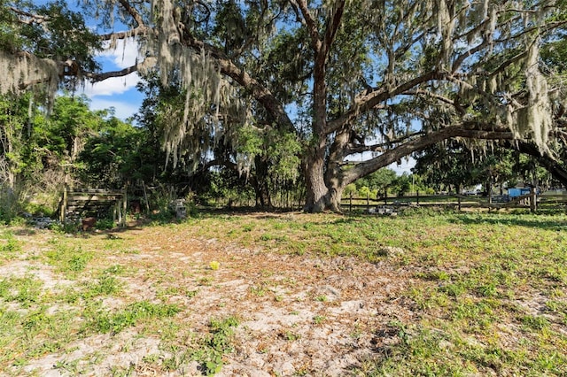 4350 E Hinson Ave, Haines City, FL 33844 - view of yard