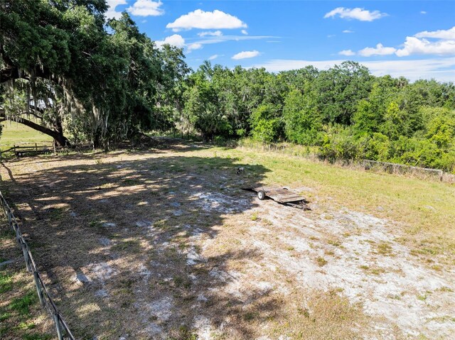 4350 E Hinson Ave, Haines City, FL 33844 - view of yard with a view of trees
