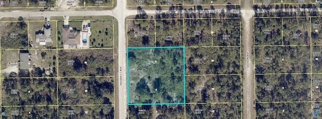 1716 Prospect Ave, Lehigh Acres, FL 33972 - photo 1