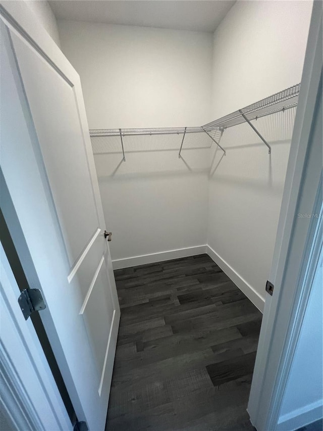 walk in closet with dark hardwood / wood-style floors