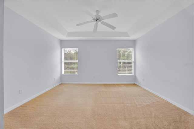 empty room with light colored carpet, a wealth of natural light, and a raised ceiling