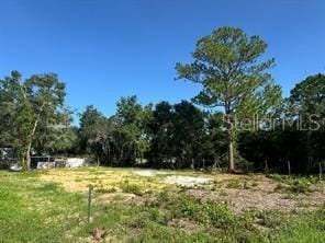 Lake Marion Creek Rd, Haines City FL, 33844 land for sale