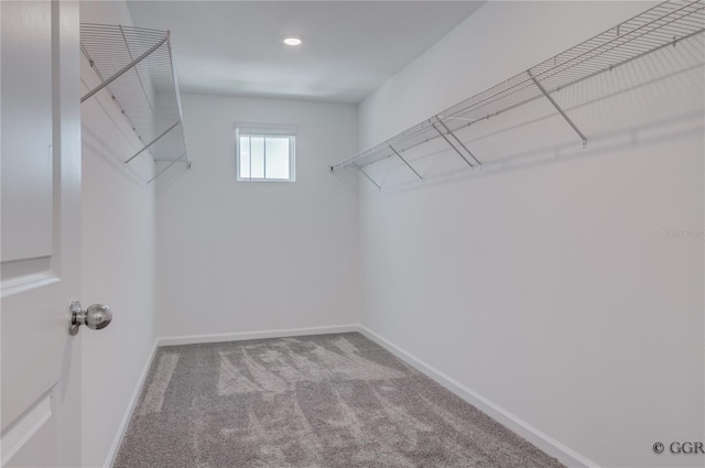 spacious closet with light colored carpet