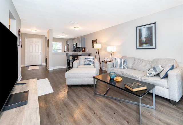 living room with wood-type flooring