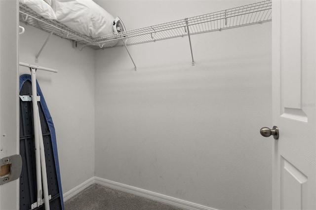 spacious closet featuring carpet floors