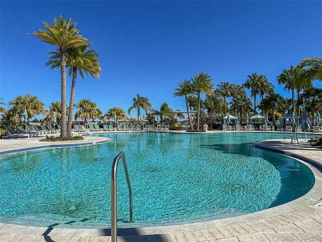 view of swimming pool featuring a patio